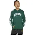 Adidas Codes Collegiate Graphic Hettegenser