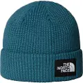 The North Face Salty Lined Lue blå