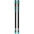 Kästle Rx12 Gs Factory Fis H+plate 10mm Alpinski