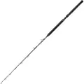 Penn Marine Brigade Tuna Fiskesnelle