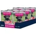 Eukanuba Puppy Rik på okse med gresskar - Sparepakke: 48 x 400 g