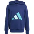 Adidas Essentials Hettegenser