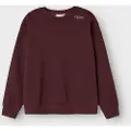 Name it Avslappet Passform Sweatshirt