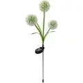 24.Se Solcelleblomst LED 3000K - Hvitløksblomst