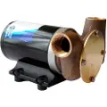 Jabsco Utility Puppy Self Priming 3000 50l/min Pumpe 24v