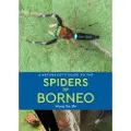 JOHN BEAUFOY PUBLISHING LTD A Naturalist's Guide to the Spiders of Borneo