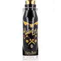 Stor Harry Potter Flaske 580ml