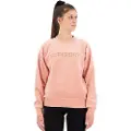 Superdry Velour Graphic Boxy Collegegenser
