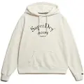 Superdry Brand Mark Relaxed Fit Hettegenser