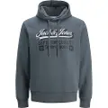 Jack & Jones Logo 2 Plus Size Hettegenser