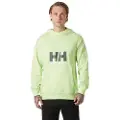 Helly Hansen Core Graphic Hettegenser