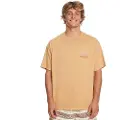 Quiksilver Qs Bloom Ss Kort Ermet V-hals T-skjorte