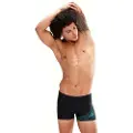 Speedo Medley Logo Badeshorts Boxer