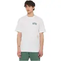 Dickies Aitkin Chest Kortarmet T-skjorte