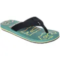 Billabong All Day Theme Flip-flops