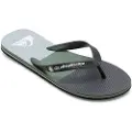 Quiksilver Molokai Flip-flops