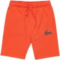 Quiksilver Easy Day Sports Shorts