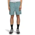 Element Chillin Classic Wk Shorts