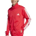 Adidas Sportswear Basic 3 Stripes Tricot Treningsdress
