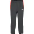 Puma individualLIGA Training Pants Men, Sport, Shadow Gray/White/Glowing Red, M