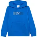 Puma Ess Logo Lab Hettegenser