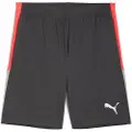 Puma Liga Shorts