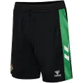 Hummel Real Betis 25/26 Hjem Shorts