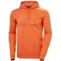 Helly Hansen Nord Graphic Hettegenser