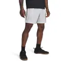 Under Armour Tech Woven Wordmark Shorts