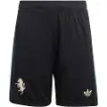 Adidas Juventus 25/26 Tredje Junior-shorts