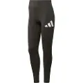 Adidas Train Essentials Big Logo Leggings