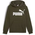 Puma Ess Big Logo Hettegenser