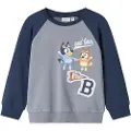 Name it Bluey Sweatshirt