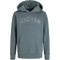 Jack & Jones Caleb Varsity Hettegenser