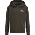 Jack & Jones Brandes Relaxed Hettegenser