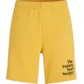 O'Neill Future Surf Society Shorts grønn