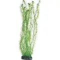 Usorteret Dohse Lagarosiphon, 34 cm