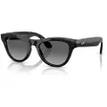 Ray-Ban Skyler Meta Gen 2 Polariserte Solbriller