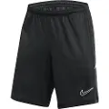Nike Dri-Fit Academy 25 sort shorts for menn FZ9776 010 S