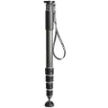 Gitzo Gm45452 Serie 5 Monopod