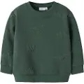 Name It Mini Normal Passform Sweatshirt