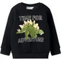 Name It Mini Normal Passform Sweatshirt