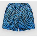 The Dudes Tigrrrr Blue Ez Premium Shorts mønster
