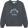 Calvin Klein Ib0ib02619 Collegegenser