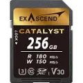 EXASCEND Microsd Uhs-i V30 Catalyst 256gb Minnekort