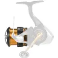 Daiwa Legalis Lt 2023 Ekstraspole