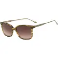 Belstaff Bonington-s024 53/16/145 Solbriller For Kvinner