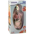 Miniland Anatomi Torso 11 Stykker