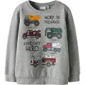 Name It Mini Økologisk Bomull Sweatshirt