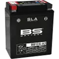 Bs Battery Bb12a-a/b Agm-batteri